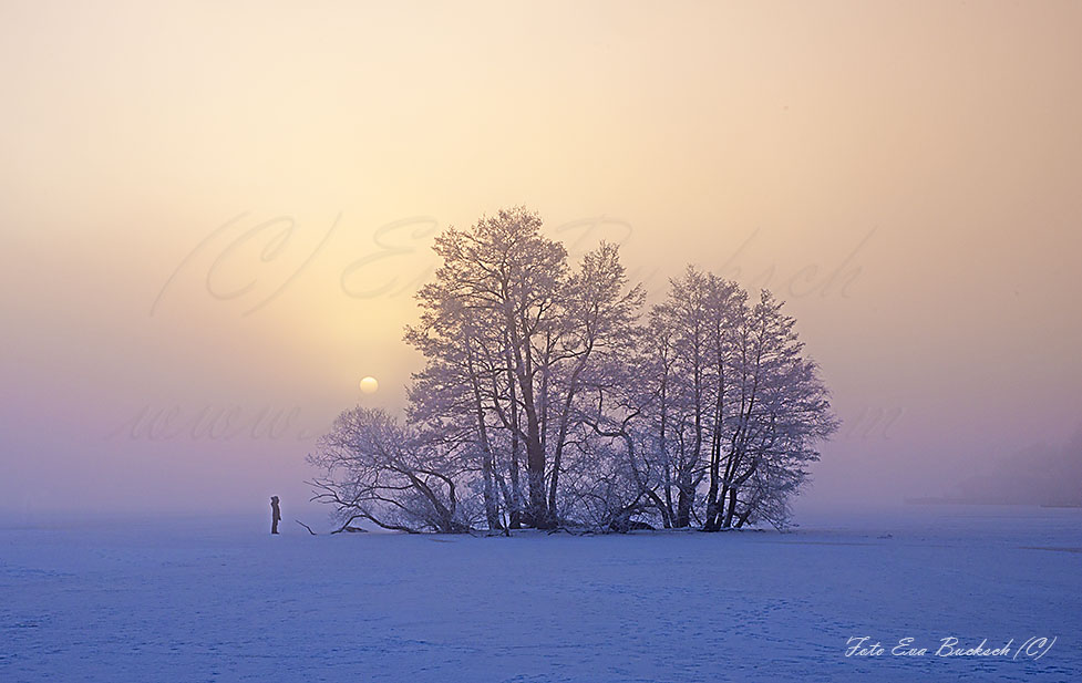 Foto av Eva Bucksch